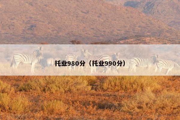 托业980分（托业990分）