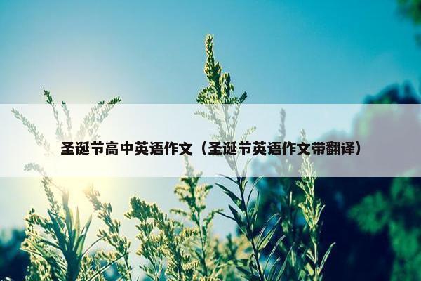 圣诞节高中英语作文（圣诞节英语作文带翻译）