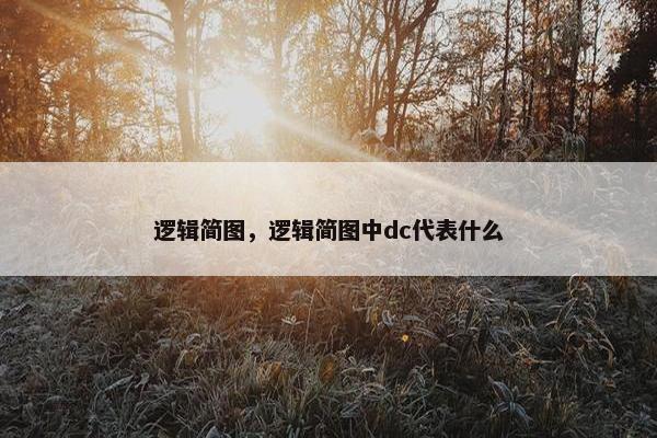 逻辑简图，逻辑简图中dc代表什么