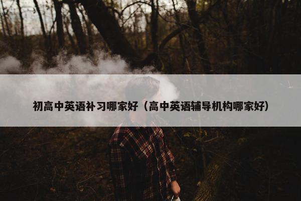 初高中英语补习哪家好（高中英语辅导机构哪家好）