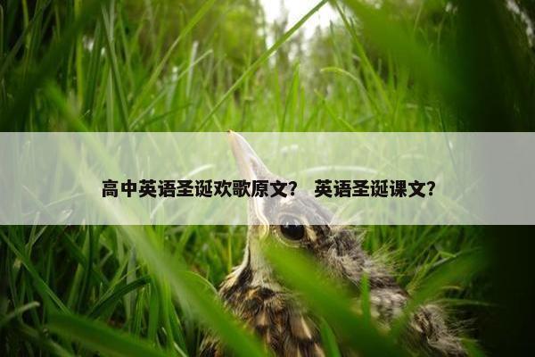 高中英语圣诞欢歌原文？ 英语圣诞课文？