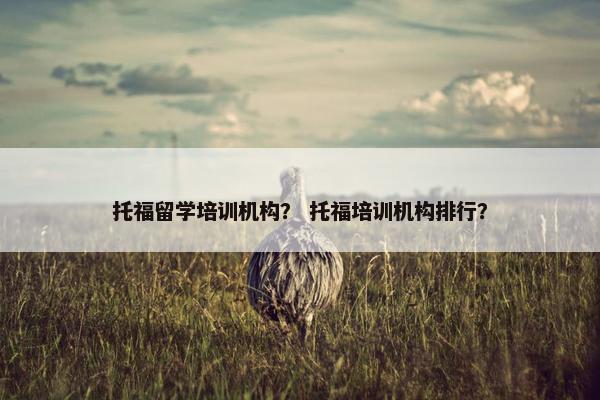 托福留学培训机构？ 托福培训机构排行？