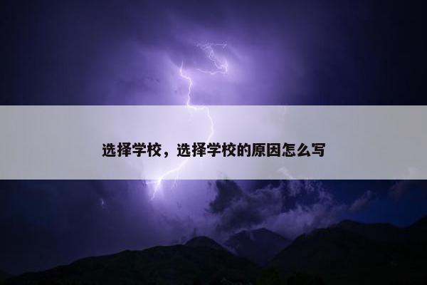 选择学校，选择学校的原因怎么写
