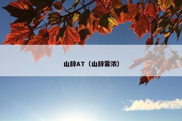 山辞AT（山辞雾浓）