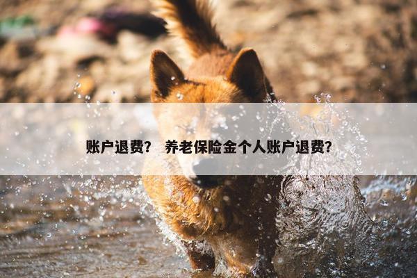 账户退费？ 养老保险金个人账户退费？