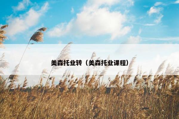 美森托业转（美森托业课程）