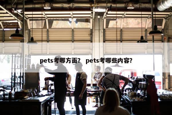 pets考哪方面？ pets考哪些内容？