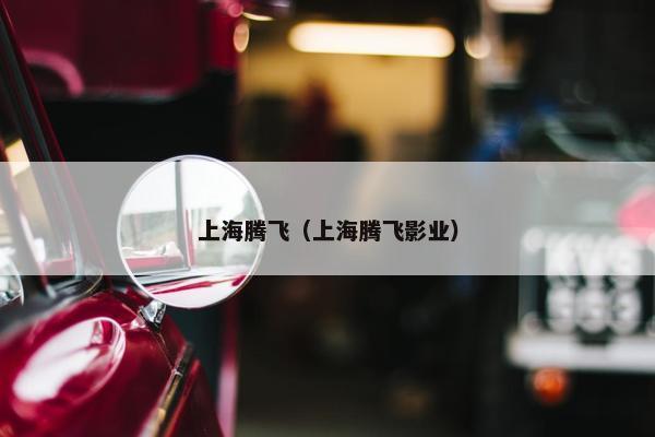 上海腾飞（上海腾飞影业）