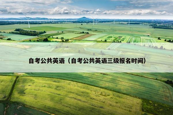 自考公共英语（自考公共英语三级报名时间）