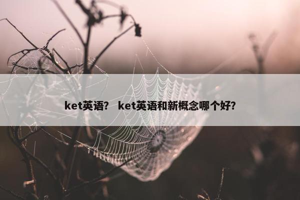 ket英语？ ket英语和新概念哪个好？