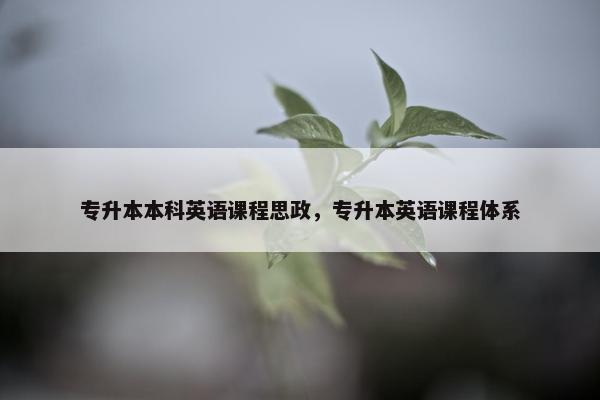 专升本本科英语课程思政，专升本英语课程体系