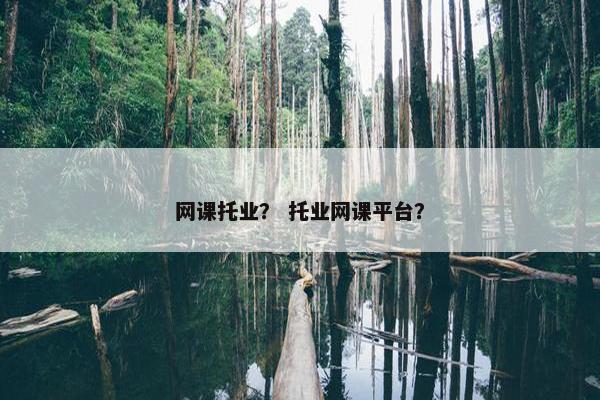 网课托业？ 托业网课平台？
