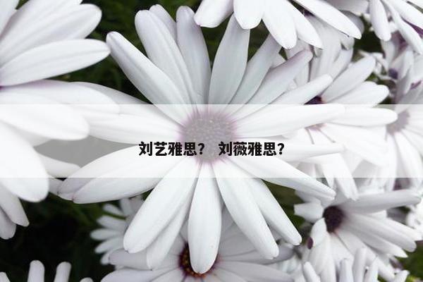 刘艺雅思？ 刘薇雅思？