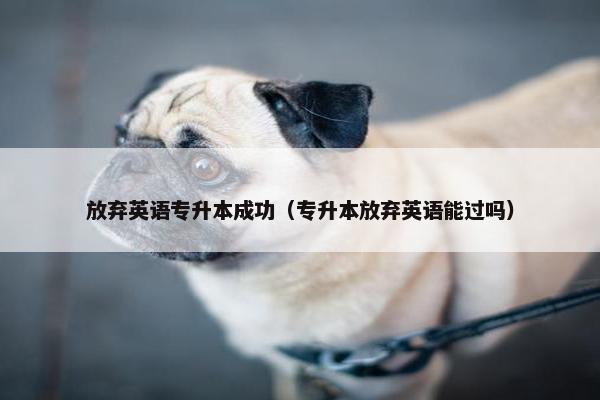 放弃英语专升本成功（专升本放弃英语能过吗）