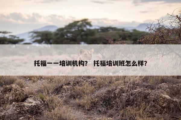 托福一一培训机构？ 托福培训班怎么样？