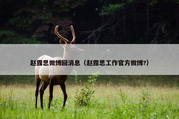 赵露思微博回消息（赵露思工作官方微博?）