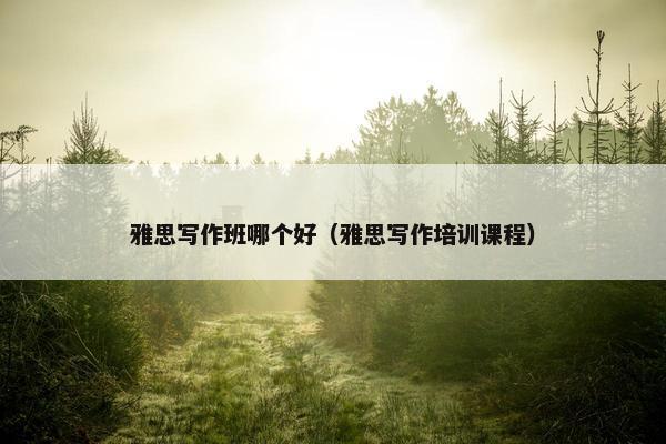 雅思写作班哪个好（雅思写作培训课程）