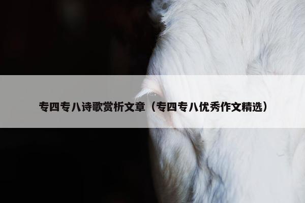 专四专八诗歌赏析文章（专四专八优秀作文精选）
