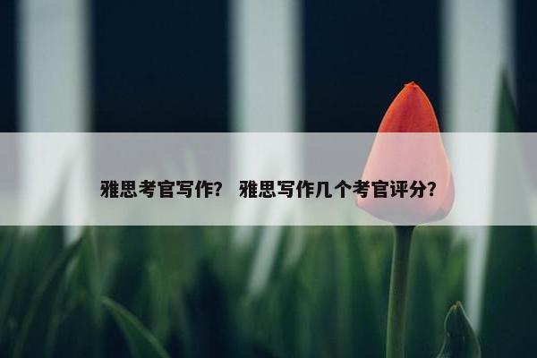 雅思考官写作？ 雅思写作几个考官评分？