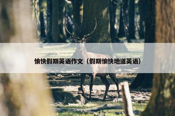 愉快假期英语作文（假期愉快地道英语）