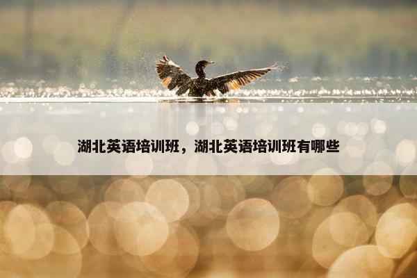 湖北英语培训班，湖北英语培训班有哪些