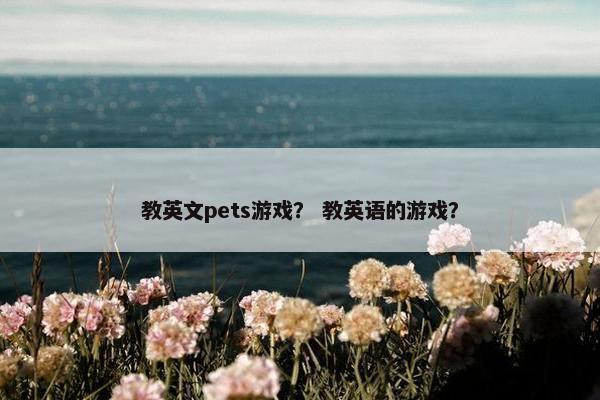 教英文pets游戏？ 教英语的游戏？