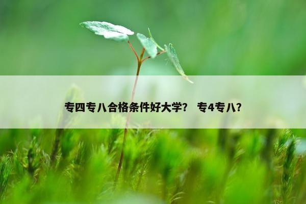 专四专八合格条件好大学？ 专4专八？