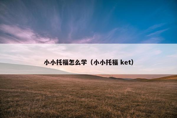 小小托福怎么学（小小托福 ket）