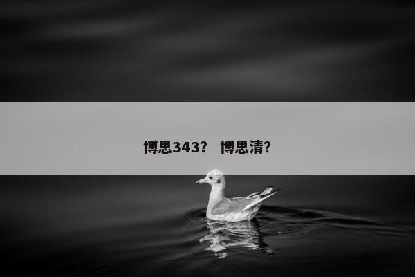 博思343？ 博思清？