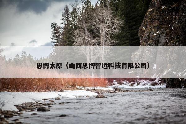 思博太原（山西思博智远科技有限公司）
