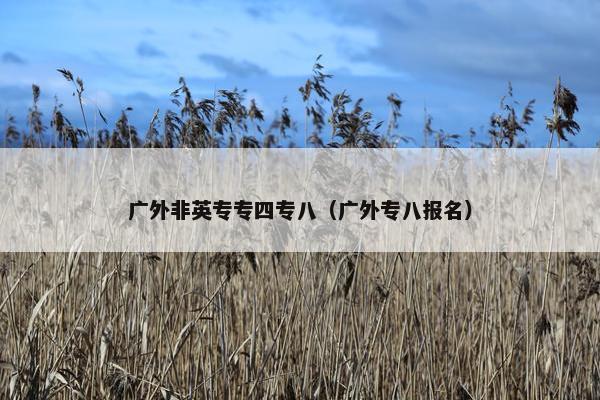 广外非英专专四专八（广外专八报名）