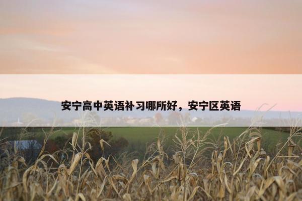 安宁高中英语补习哪所好，安宁区英语