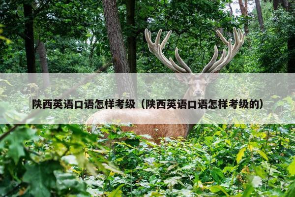 陕西英语口语怎样考级（陕西英语口语怎样考级的）