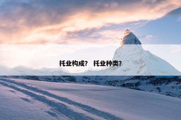 托业构成？ 托业种类？
