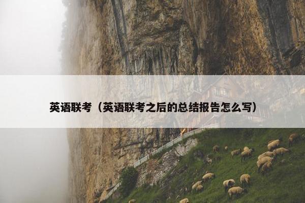英语联考（英语联考之后的总结报告怎么写）