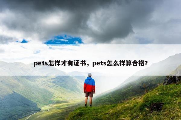 pets怎样才有证书，pets怎么样算合格?