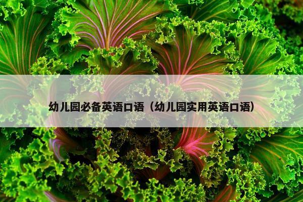 幼儿园必备英语口语（幼儿园实用英语口语）