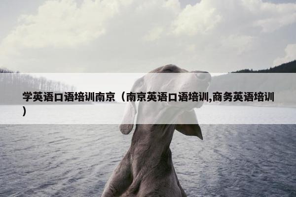 学英语口语培训南京（南京英语口语培训,商务英语培训）