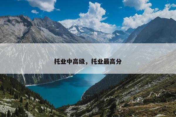 托业中高级，托业最高分