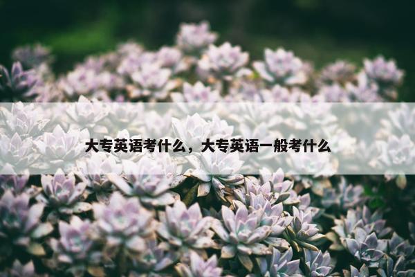 大专英语考什么，大专英语一般考什么