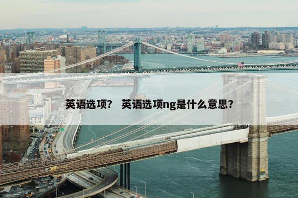 英语选项？ 英语选项ng是什么意思？