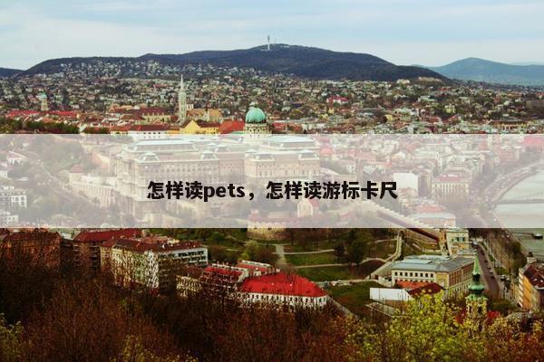 怎样读pets，怎样读游标卡尺