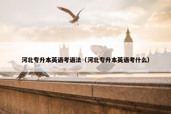 河北专升本英语考语法（河北专升本英语考什么）