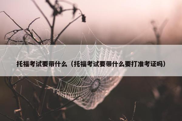 托福考试要带什么（托福考试要带什么要打准考证吗）