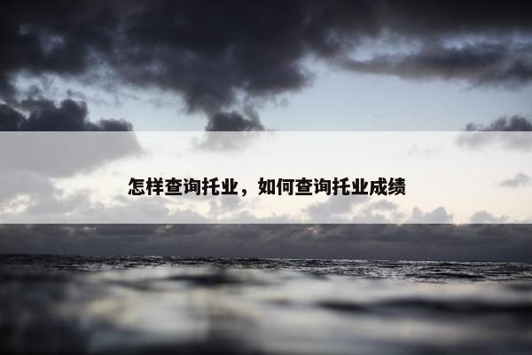 怎样查询托业，如何查询托业成绩
