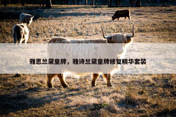 雅思兰黛皇牌，雅诗兰黛皇牌修复精华套装