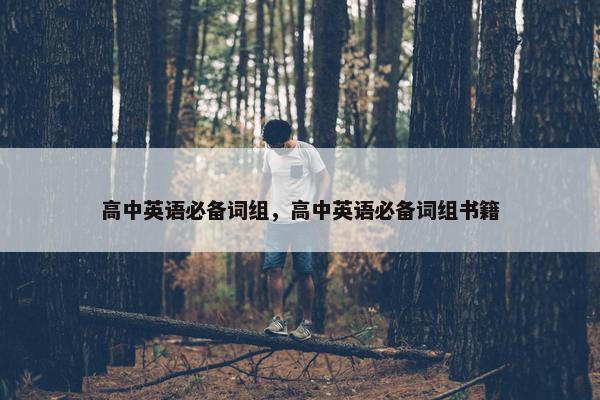 高中英语必备词组，高中英语必备词组书籍