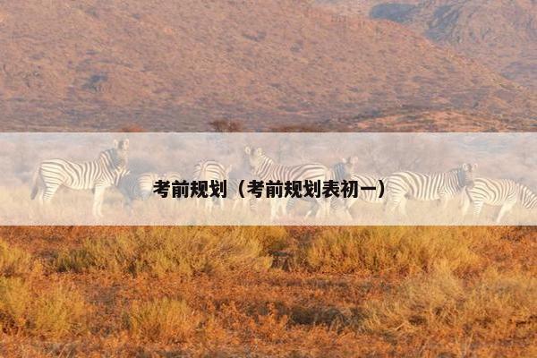 考前规划（考前规划表初一）