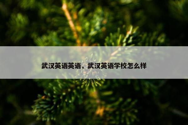 武汉英语英语，武汉英语学校怎么样