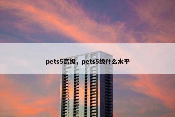 pets5高级，pets5级什么水平